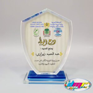 Trophée en Cristal Personnalisable –  NL-21