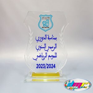 Trophée en Cristal Transparent – BTB-8902